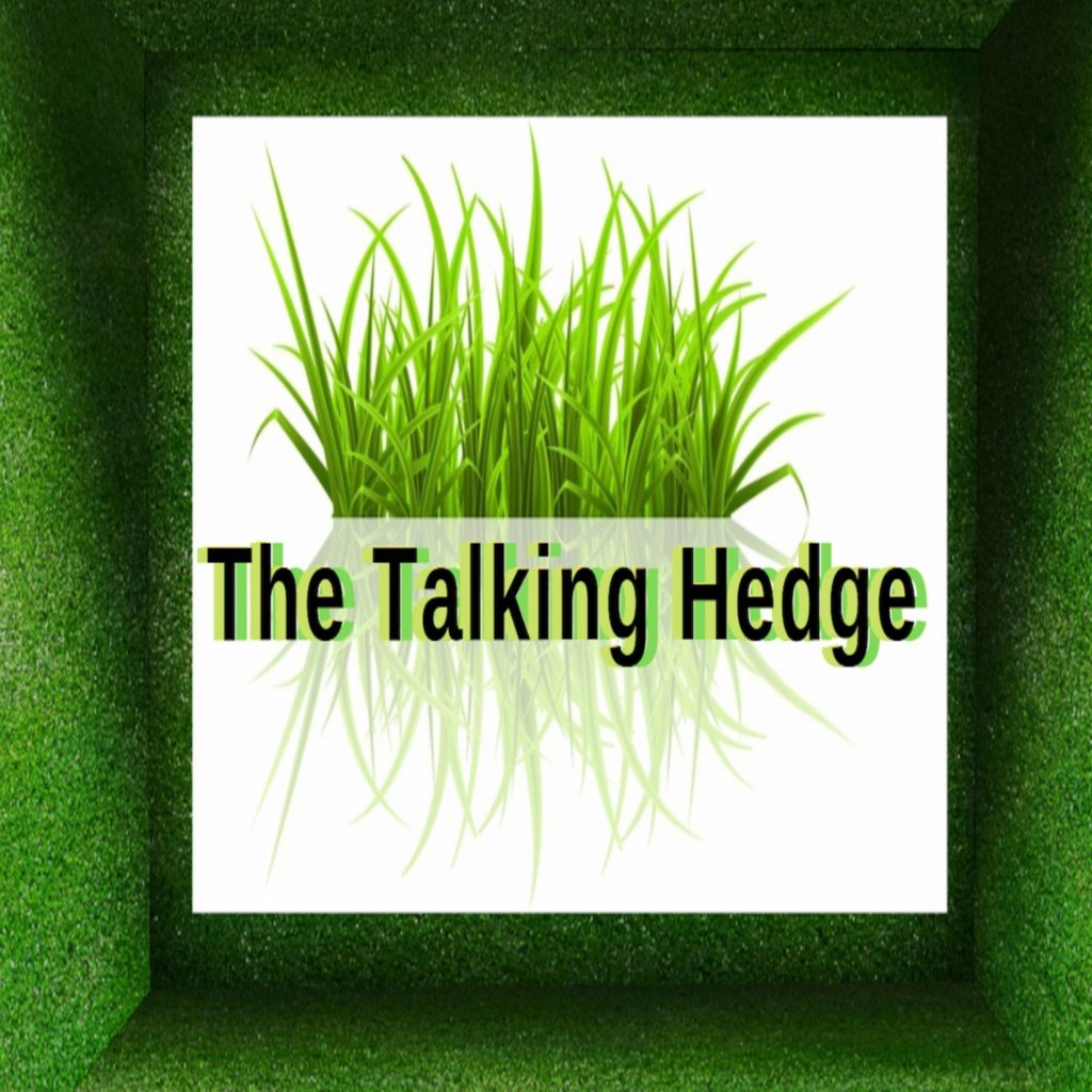 Interview With Josh Kincaid | The Talking Hedge Podcast
